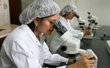Editorial: Sabotaje educativo