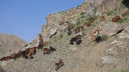 Afganistán: decenas de muertos por deslizamientos de tierra