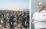 El guardaislas que protegió a las aves y a su guano por 34 años