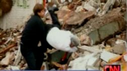 Caída de Piñera en demolición fue escogida la foto del año