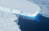Impacto de témpanos a la deriva reduce especies en la Antártida