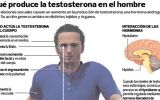¿El sexo antes de un partido afecta el rendimiento físico?