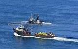 Cuota industrial de anchoveta será de 234.300 toneladas