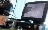 Un avance para preservar la fertilidad de niños con cáncer