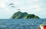 Ilha de Queimada Grande: La isla prohibida de Brasil