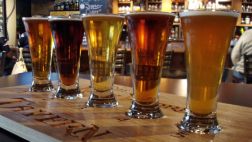 ¿Son los antibióticos y el alcohol incompatibles?
