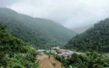 La selva sur y central soportarán nuevo friaje