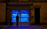 ¿Un local lleno de medusas? Conoce esta instalación en Londres