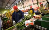 Ecuador y Unión Europea cerraron acuerdo de comercio bilateral