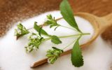 Descubre los mitos y verdades de la Stevia