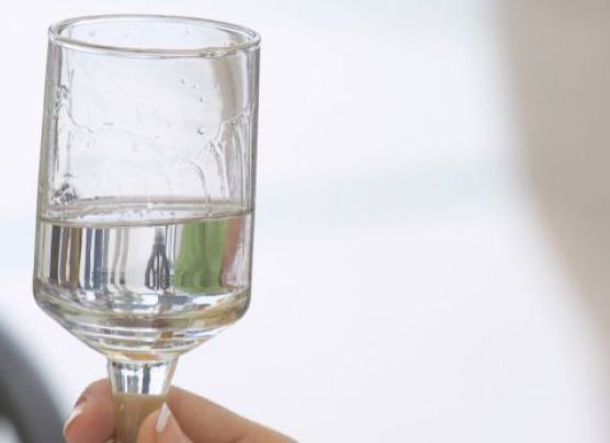 Concurso Nacional del Pisco: estos son todos los ganadores