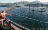 Cómo convertir CO2 en Omega 3 para alimentar peces