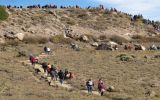 Turistas nacionales y extranjeros coparon el Valle del Colca