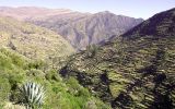 Andes milenarios, por Gonzalo Portocarrero