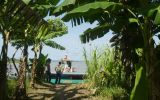 ¿Cuál debería ser el plan para el desarrollo de la Amazonía?
