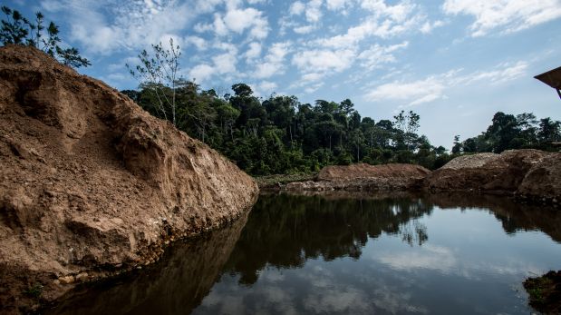 ¿Cuál debería ser el plan para el desarrollo de la Amazonía?