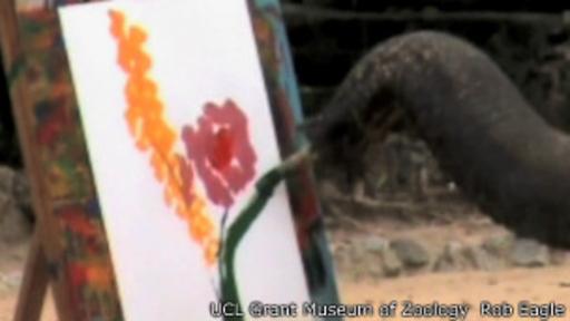 El elefante Boon Mee pintó su maceta de flores en 2011 en el zoológico de Samutprakarn, Tailandia.