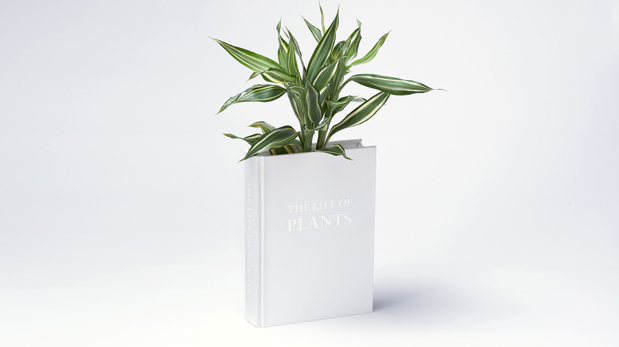 [Foto] "The Life of plants": Este libro es en realidad una maceta