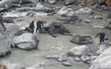Inspectores descartaron contaminación del río Orcopampa
