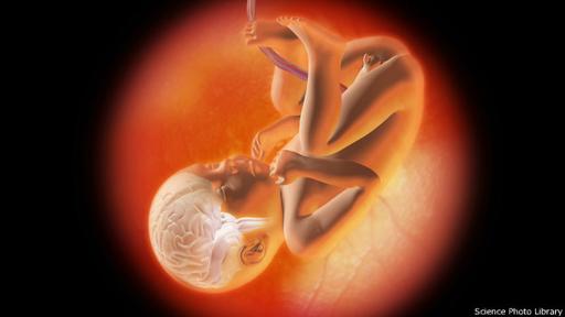 Según el científico Simon Baron-Cohen, las hormonas en el útero materno forman el cerebro.