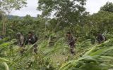 Vraem: presunto ataque a base temporal deja al menos un muerto
