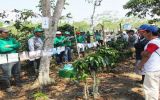 Productores de café se graduaron en escuelas de campo