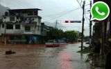 Vía WhatsApp: Fuertes lluvias inundan viviendas en Tingo María