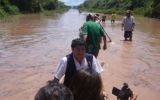 Huánuco: desborde del río Huampal dejó 560 afectados