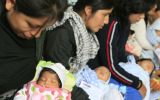 Seguro gratuito para niños se aplicará de forma gradual en 2015