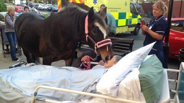 Mujer pidió despedirse de su caballo antes de morir