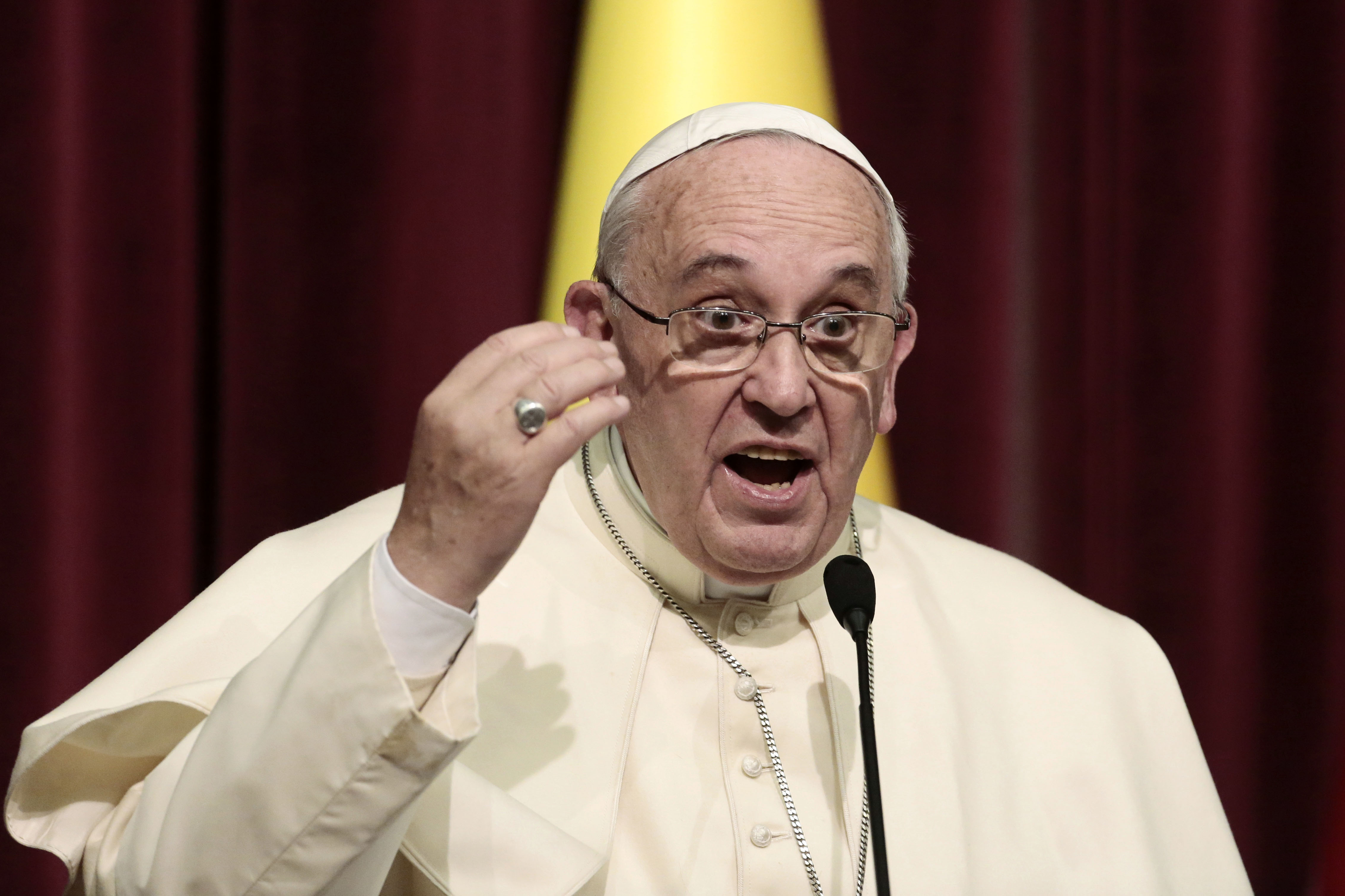 Papa Francisco a los musulmanes: "Resistan al Estado Islámico"