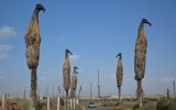 Gallinazos de Cristina Planas, firme en los Pantanos de Villa