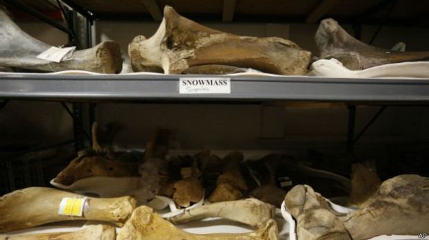 Los huesos fueron hallados por accidente en el 2010.(Foto: AP)