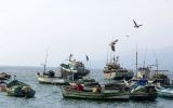 Editorial: Dogmatismo en el sector pesca