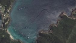 ¿Google Maps encontró un monstruo marino en Nueva Zelanda?