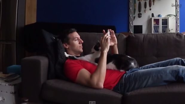 YouTube: Kodi, el gato que está 'enamorado' de su dueño