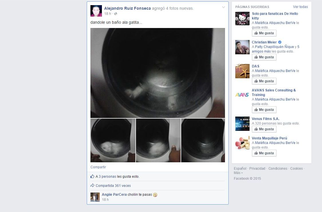 [Foto] Facebook: mete un gato a la lavadora y lo presume en red social