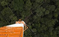 El observatorio de 330 metros que se construye en la Amazonía