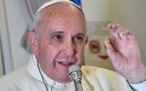 Papa: ser buen católico no significa reproducirse como conejos