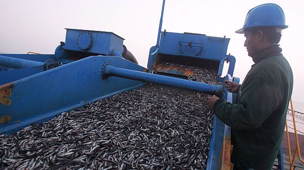COMERCIO PESCADO ARGENTINA comercio pescado argentina: