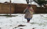 Granizada en Junín afectó casas, cultivos y ganado