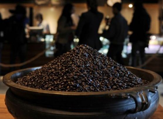 Descubren en el café proteína con efecto similar a la morfina