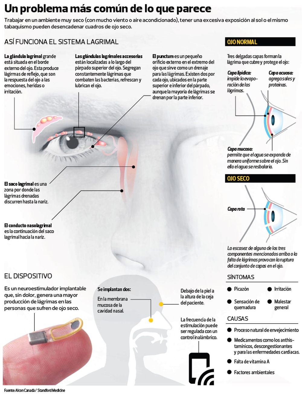 La rejuvenescencia de la persona del vídeo onlayn