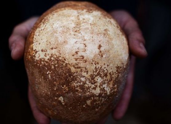 Cráneo sugiere que Homo sapiens pudo encontrarse con Neandertal