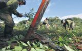 El Estado no ha reducido el espacio de coca ilegal en el Vraem