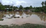 Ayacucho: inundación deja un herido y 78 familias damnificadas