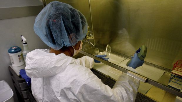 Japón: regeneran cartílago con células madre 'magnéticas' 