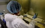 ¿Y de salud cómo andamos?, por Alfredo Guzmán