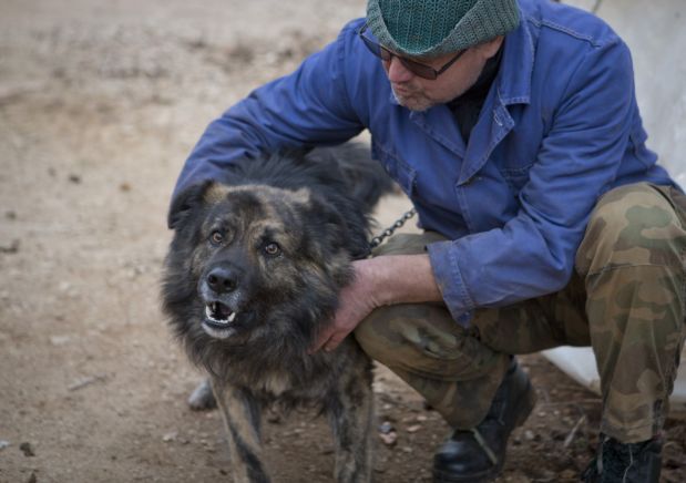 Medo es el único perro en Croacia al que la ley le prohíbe ladrar. (AP).