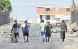 Tumbes: hallan 19 menores trabajando en empresa langostinera